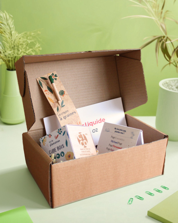 Box bureau nature personnalisé contenant des affaires de bureau pour un welcome pack tels qu'un crayon à graines, un bloc-note et un cube kit de plantation