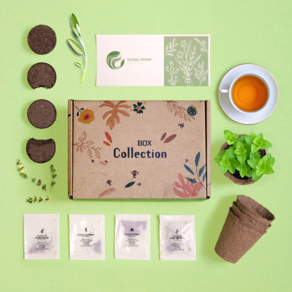 Box cadeau personnalisé pour Noël collection tisane avec kit de plantation pour cultiver son plant de tisane (mélisse, menthe poivrée, sauge, thym)