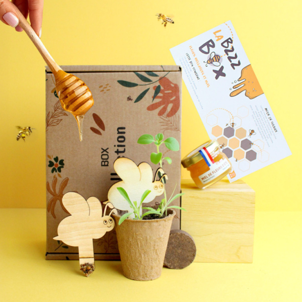 Bzzz box cadeau personnalisé sur le thème du miel et de l'abeille contenant un pot de miel français, un stick bois avec graines mellifères à planter et un kit de plantation