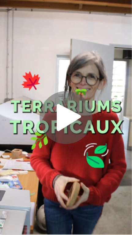 Vidéo assemblage et gravure terrarium tropical cadeaux d'affaires et objet publicitaire tendance