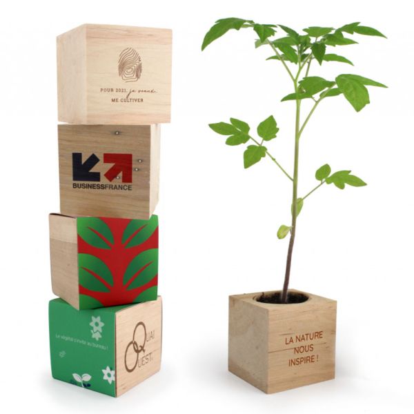 Cube bois graines, cadeau d'entreprise écologique personnalisable