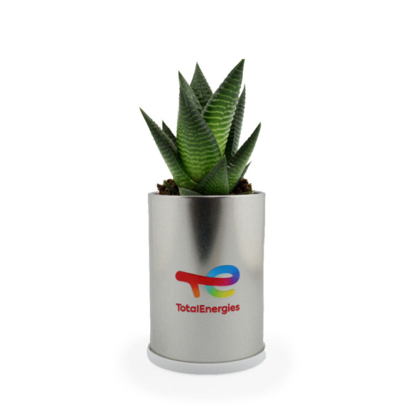 Canette en aluminium personnalisable avec plante décorative, idéale pour campagnes publicitaires et goodies écologiques.