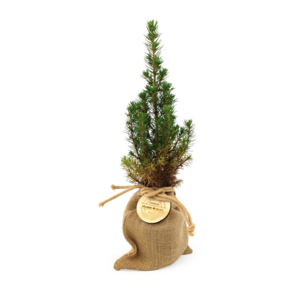 Sapin en pochon jute personnalisable, idéal pour la communication RSE et eco branding, objet publicitaire écologique made in France.