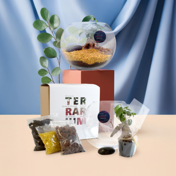 DIY Terrarium en kit grand modèle personnalisable cadeau d'entreprise