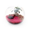 DIY Terrarium en kit grand modèle personnalisable cadeau d'entreprise